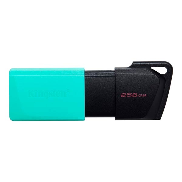 Kingston Exodia M DataTraveler 256GB