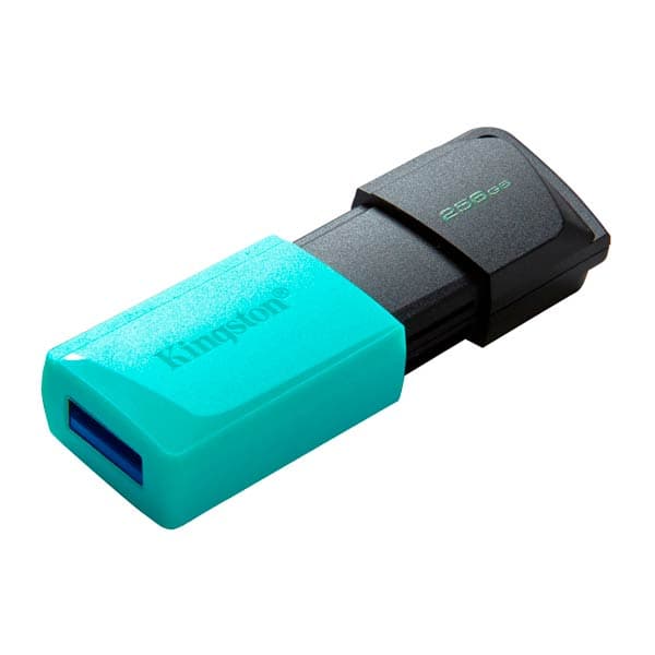 Kingston Exodia M DataTraveler 256GB